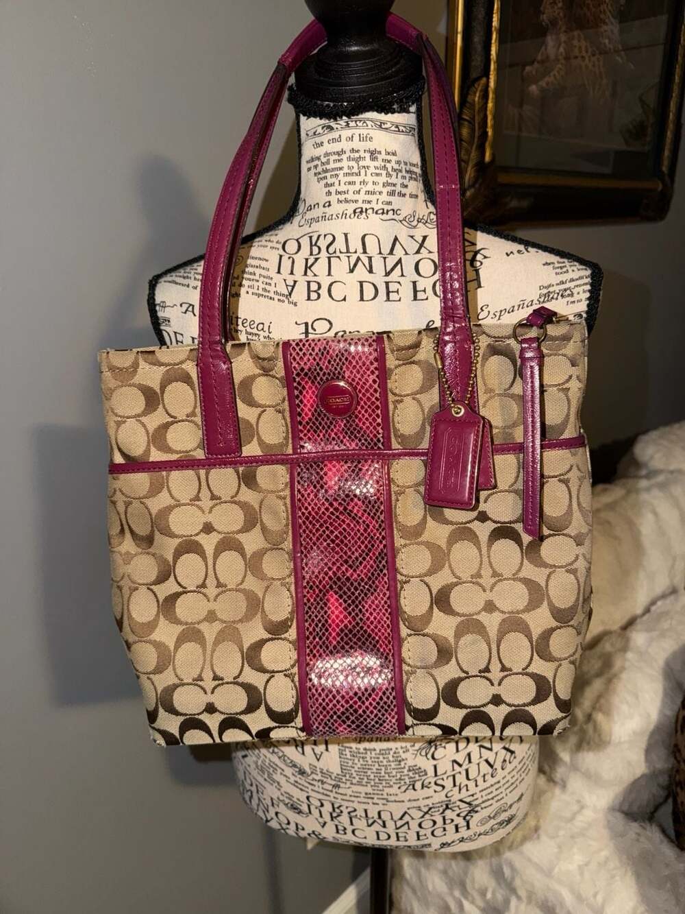 Coach Signature C Canvas and Snakeskin Embossed Tote Bag
